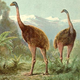Illustration for article titled Which extinct creature would you bring back from the past?